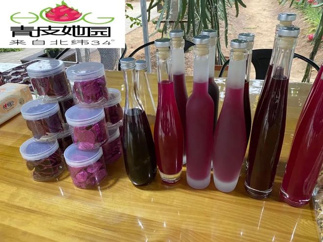 王艷:大膽開拓 創(chuàng)新火龍果&ldquo;南果北種&rdquo;產(chǎn)業(yè)鏈新模式